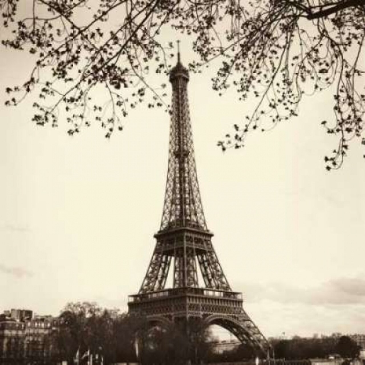 Tour Eiffel Poster Print by Alan Blaustein - Item # VARPDXB1440D